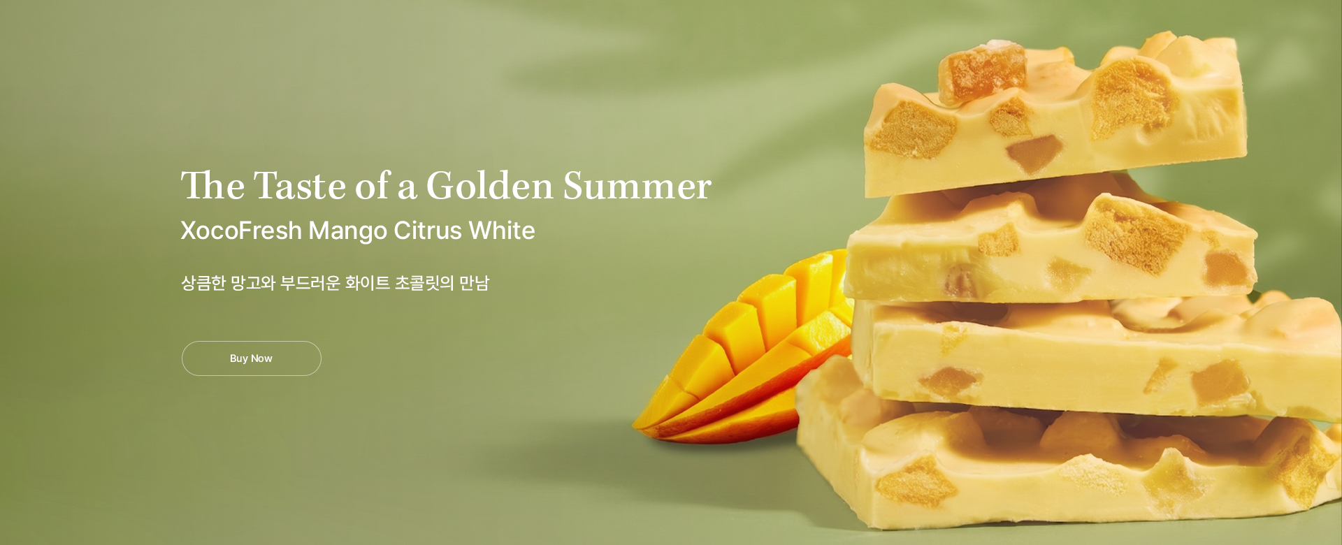 배경 이미지